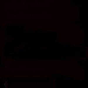 Meet your Posher, Ray